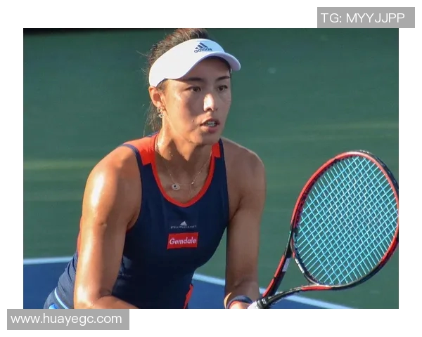 网球运动员在赛场上的荣耀与挑战：从初心到顶峰的奋斗历程